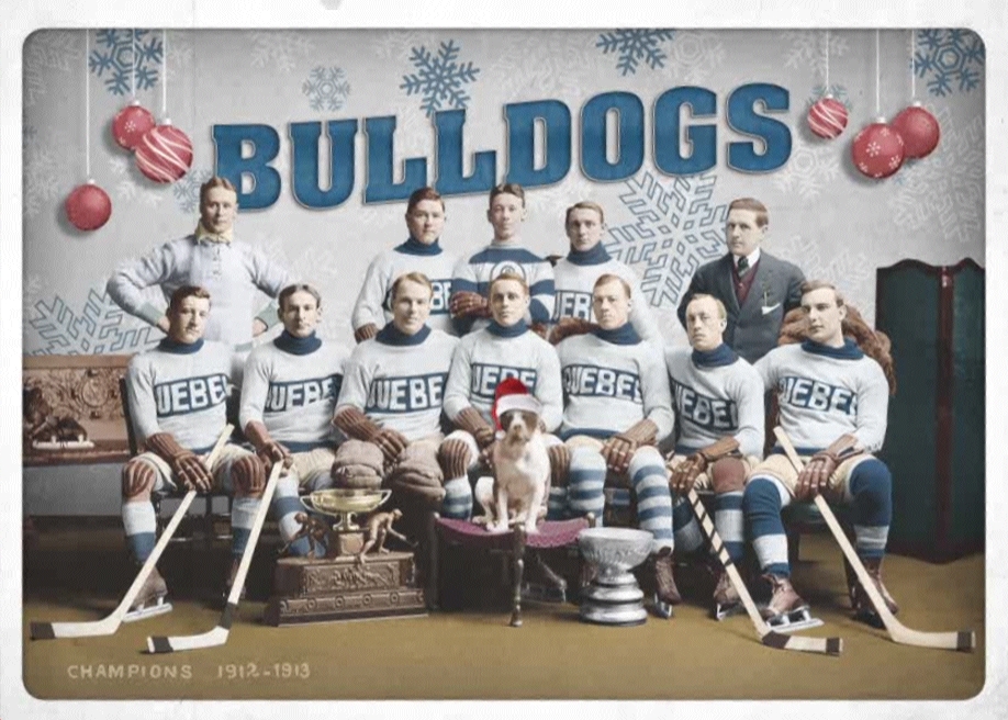 Bulldogs carte de noel